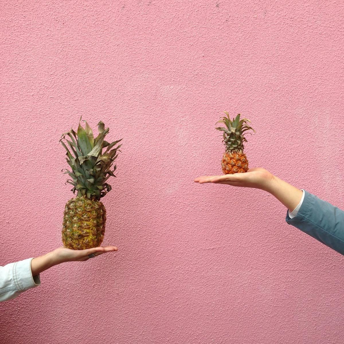 Two different-sized pineapples held against a vibrant pink wall, showcasing tropical fruit diversity.