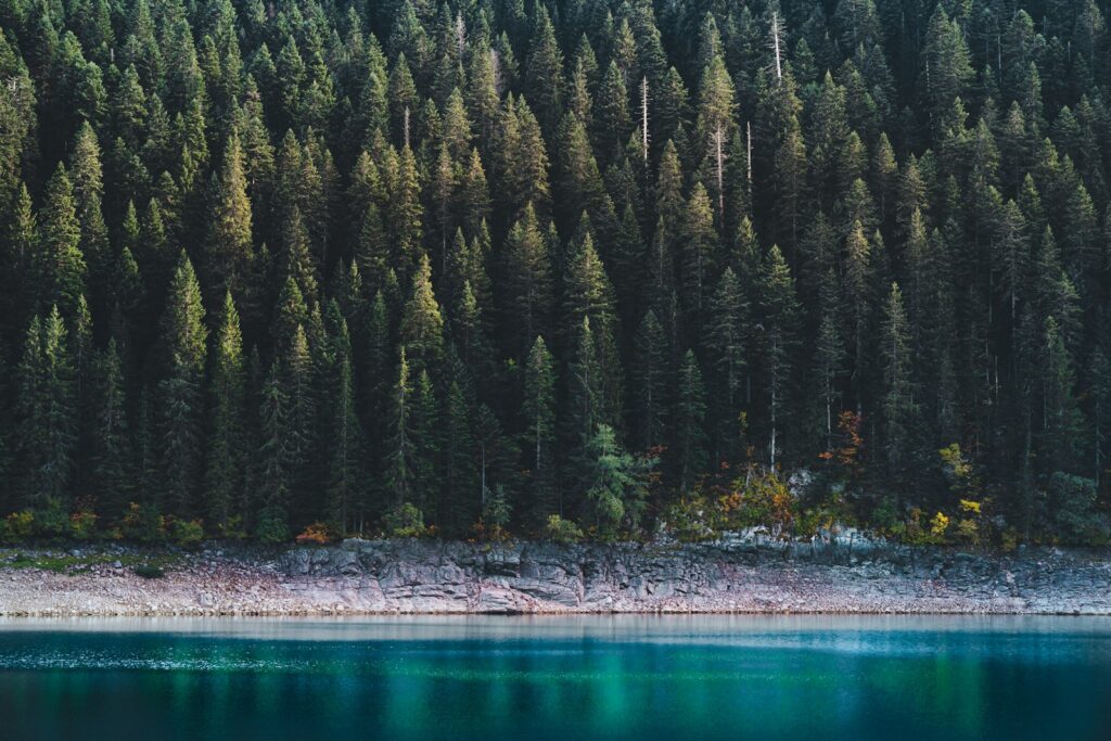 Dense forest borders a calm, blue lake.