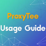 ProxyTee Usage Guide